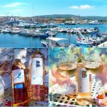 saint tropez wine 4